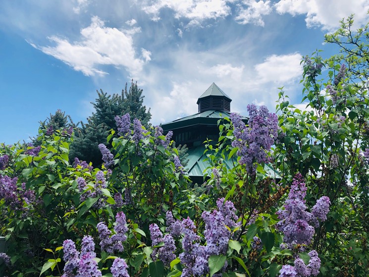 Butterfly Pavilion